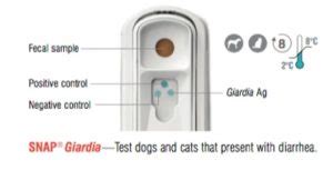 idexx giardia snap test instructions.